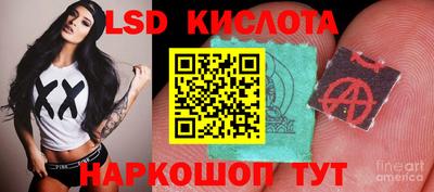 гидропоника Можайск