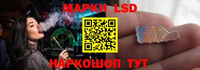 гидропоника Можайск