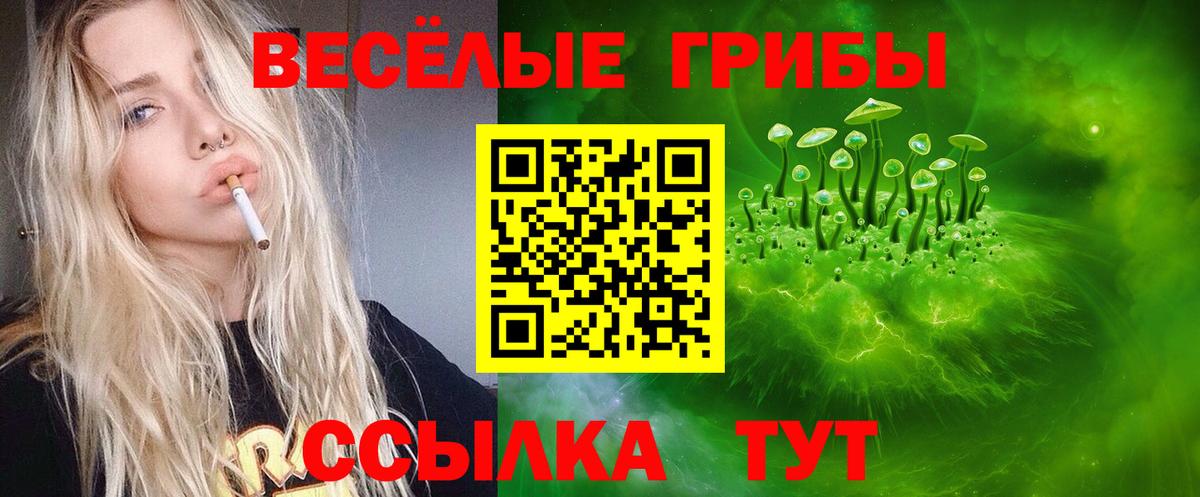 Псилоцибиновые грибы Psilocybine cubensis  Вход с VPN  Тамбов 